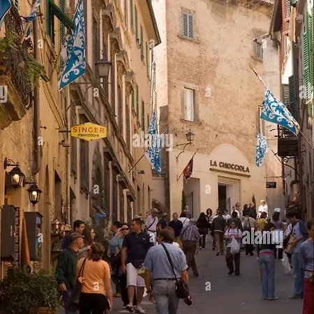 Il Corso Di *